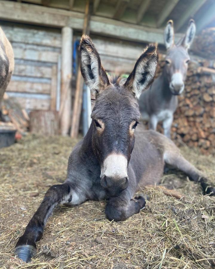 Sweetwater Lane Farm Villa Mount Currie ภายนอก รูปภาพ
