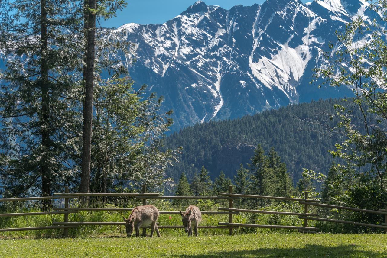 Sweetwater Lane Farm Villa Mount Currie ภายนอก รูปภาพ