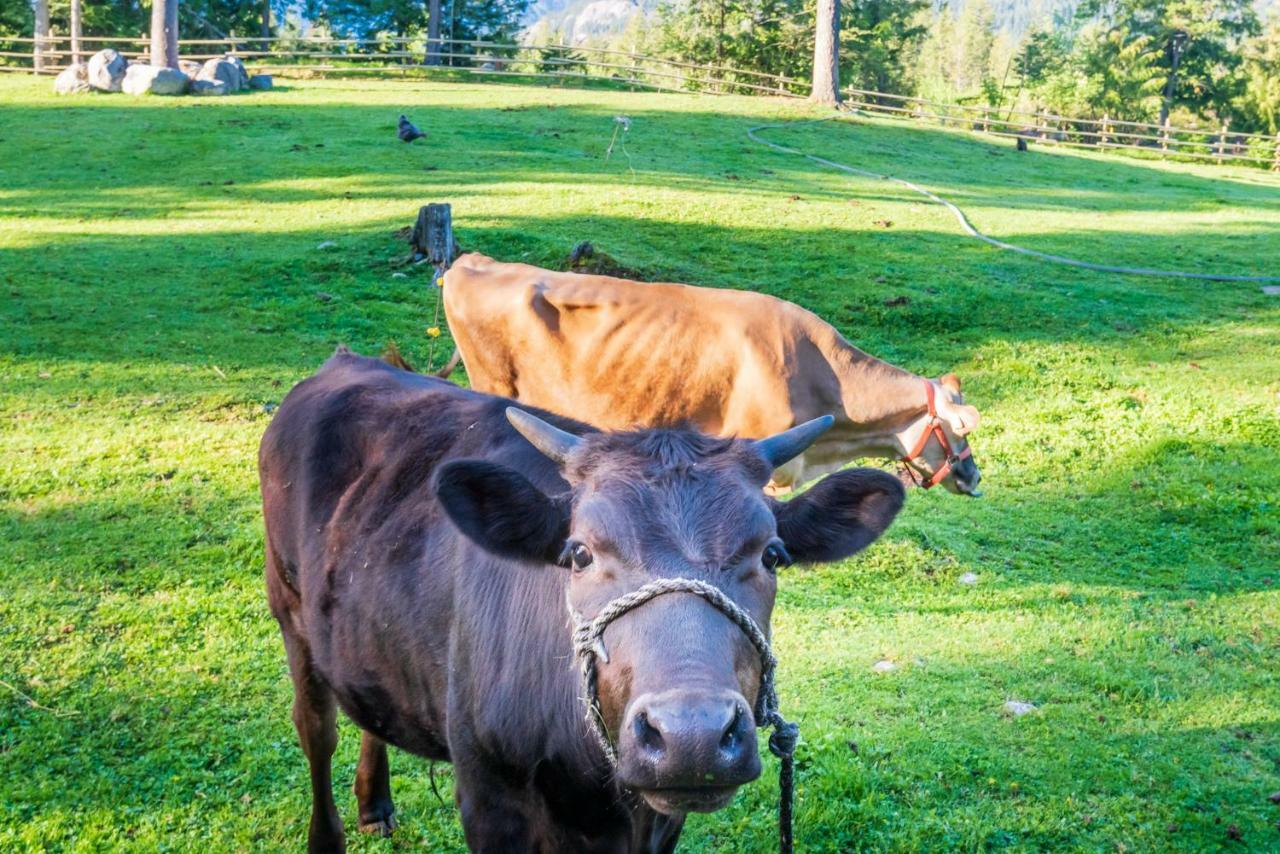 Sweetwater Lane Farm Villa Mount Currie ภายนอก รูปภาพ